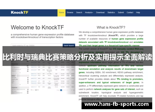 比利时与瑞典比赛策略分析及实用提示全面解读