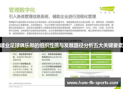 建业足球俱乐部的组织性质与发展路径分析五大关键要素