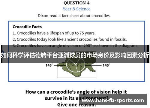 如何科学评估德转平台亚洲球员的市场身价及影响因素分析