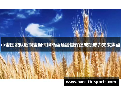 小麦国家队近期表现惊艳能否延续其辉煌成绩成为未来焦点