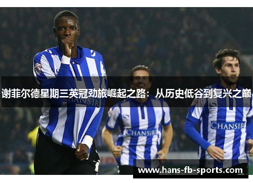 谢菲尔德星期三英冠劲旅崛起之路：从历史低谷到复兴之巅