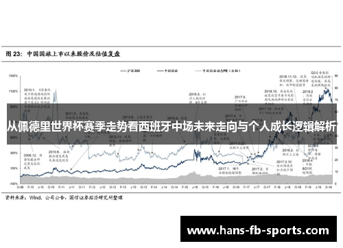从佩德里世界杯赛季走势看西班牙中场未来走向与个人成长逻辑解析